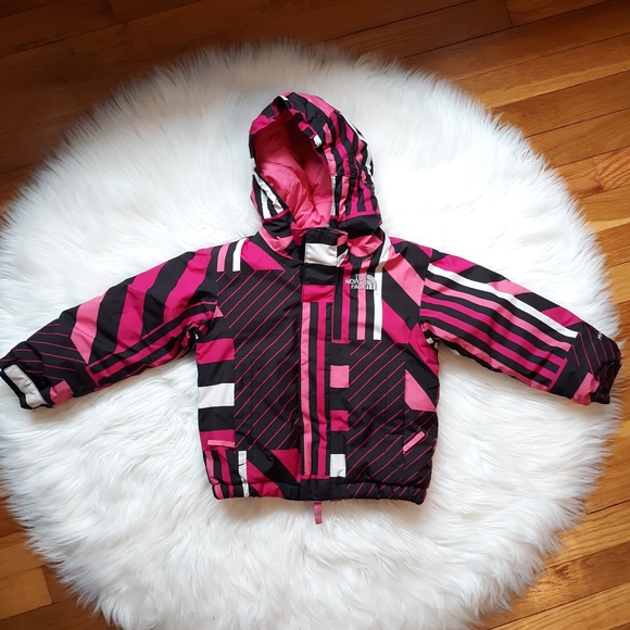 The North Face Other - SOLD Toddler North Face Winter Coat